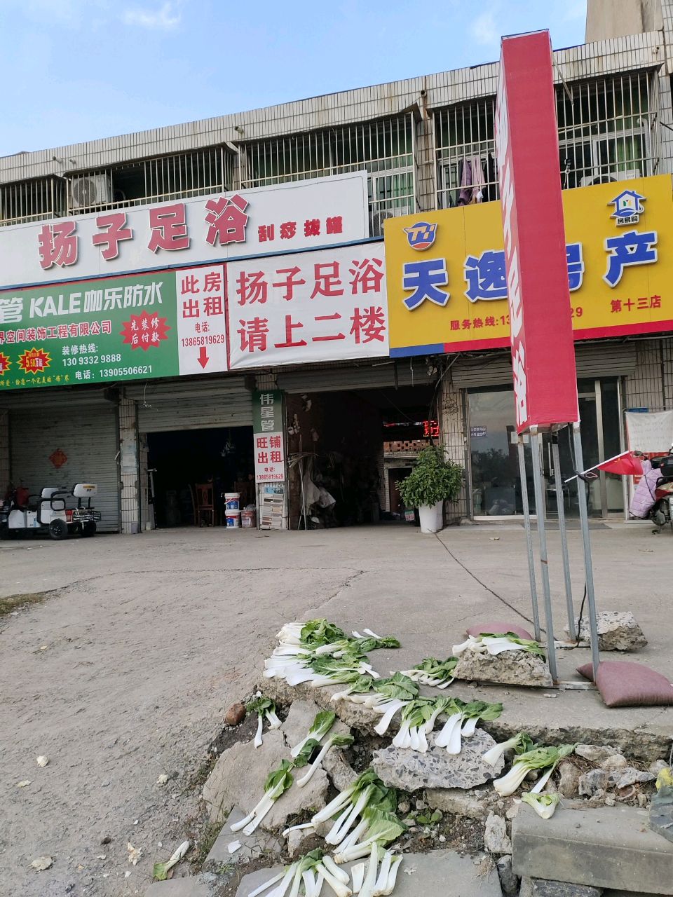 扬子足浴