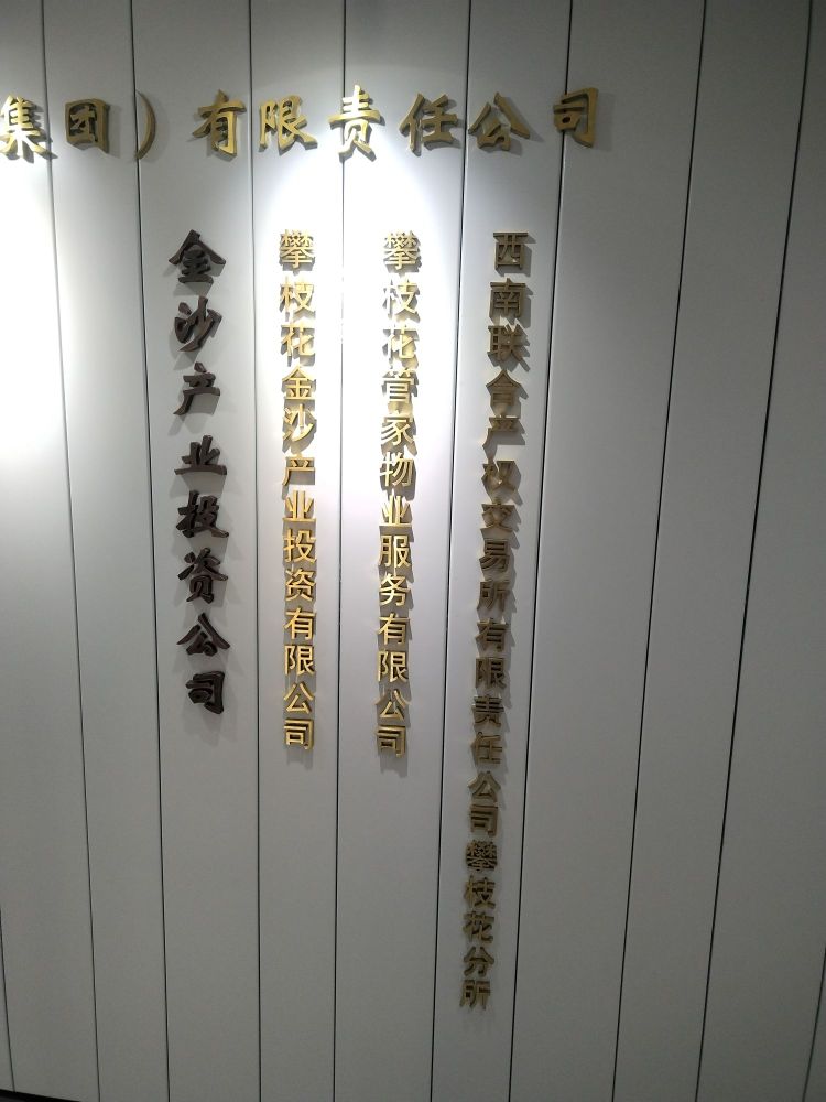 攀枝花金沙产业投资有限公司