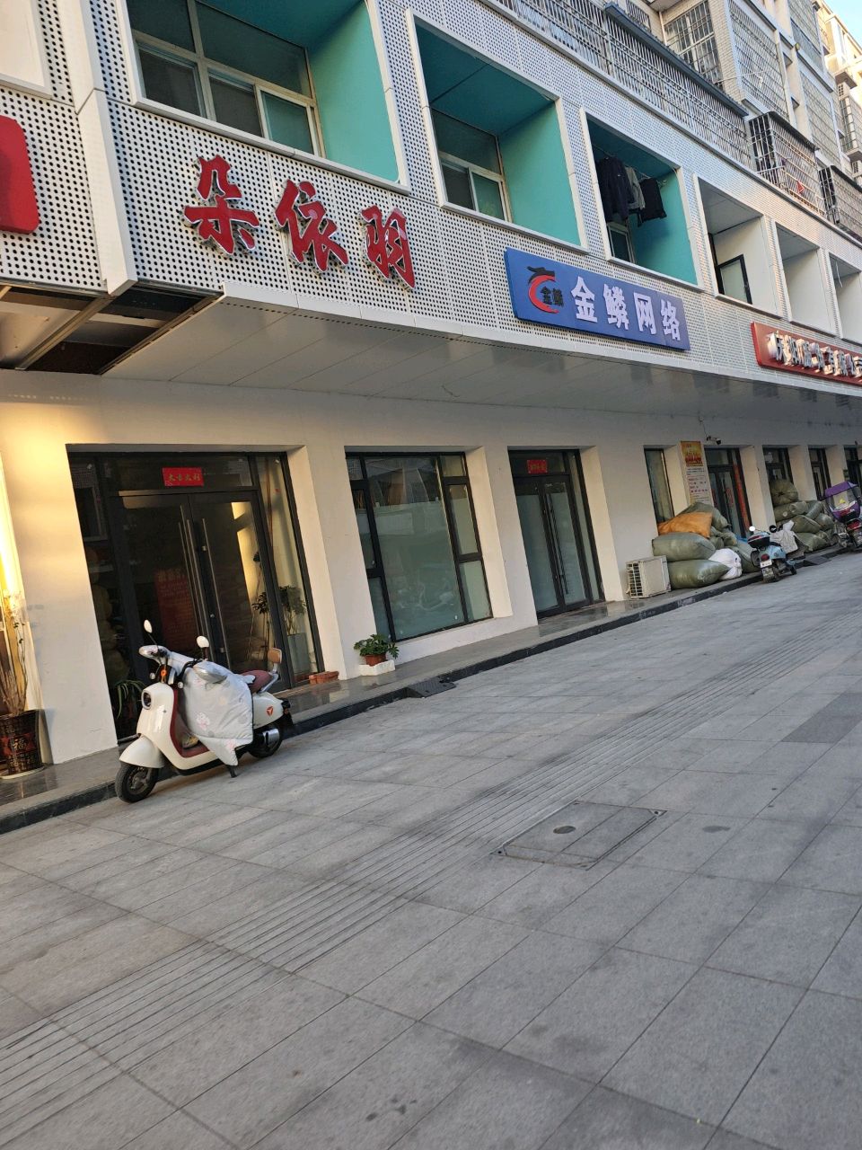 金鳞网络