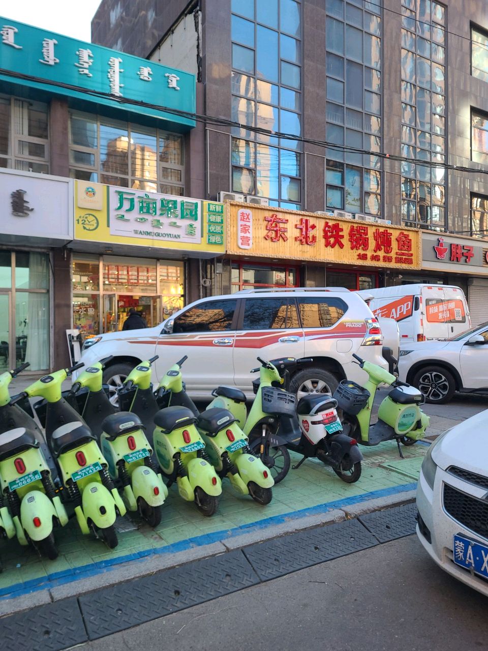 劈北东驰赵罗家营铁锅炖鱼