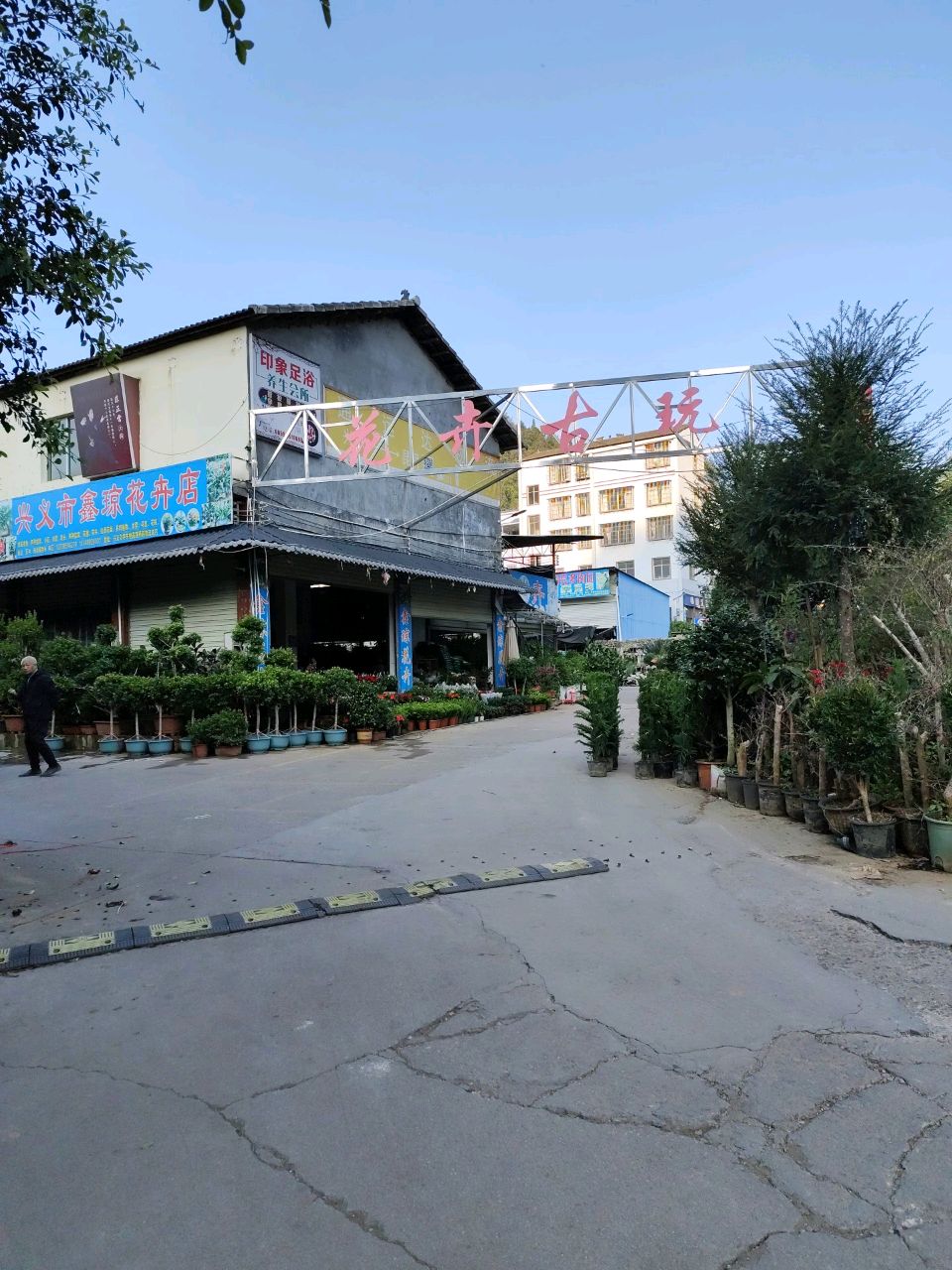 花卉古玩
