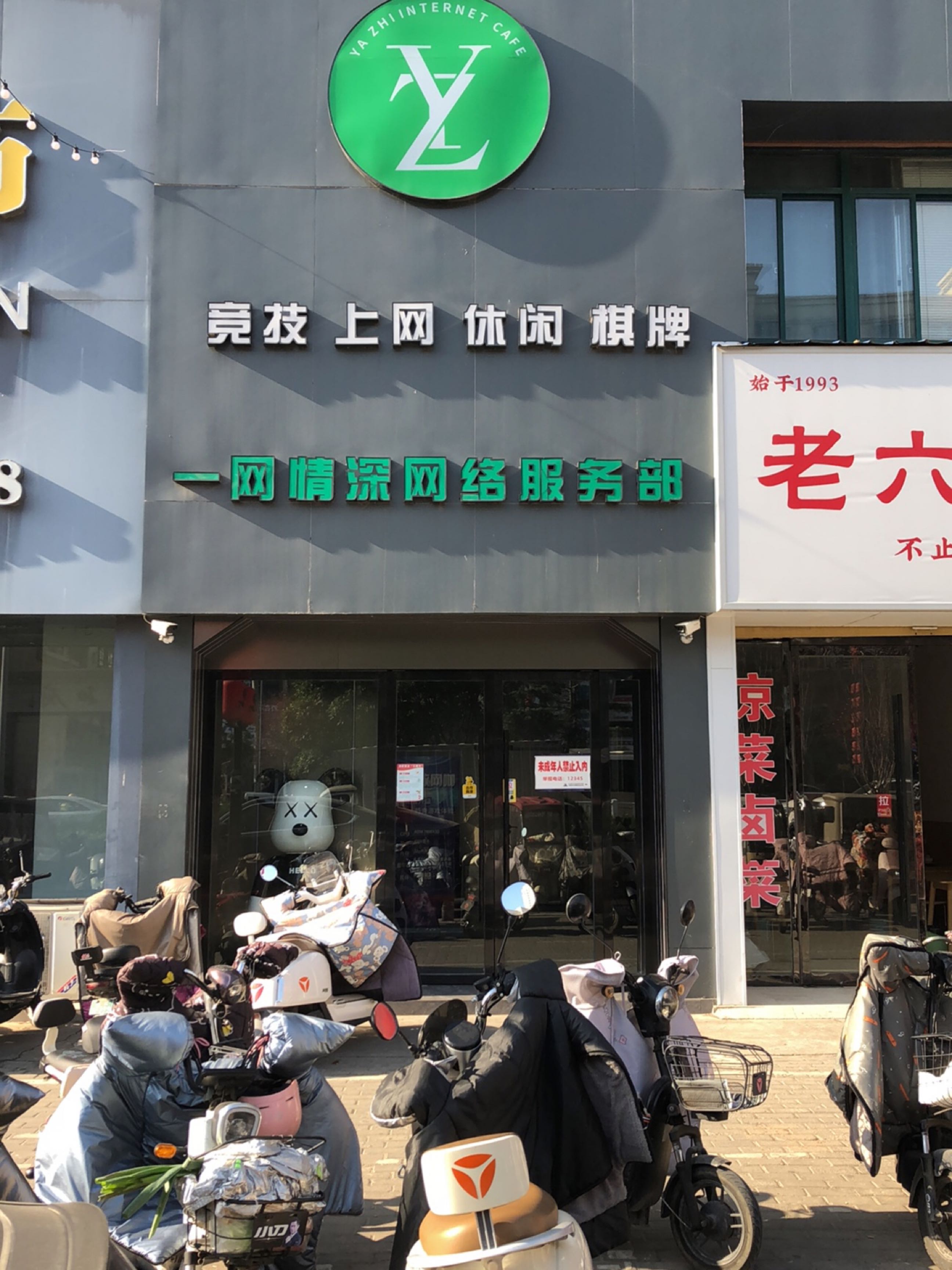 一网情深网络服务部