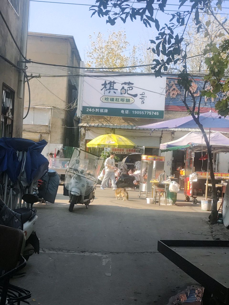 棋苑
