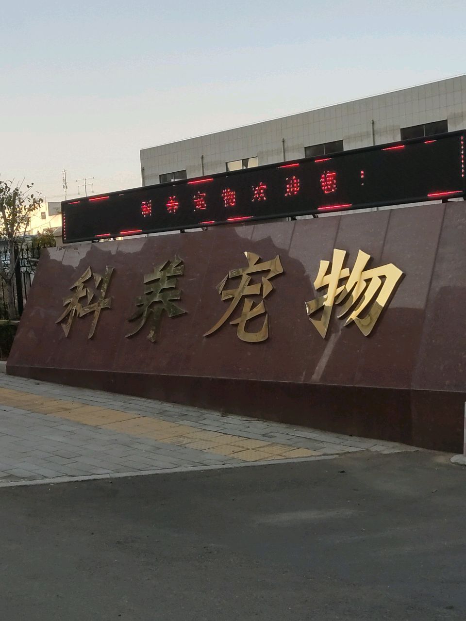 科养宠物