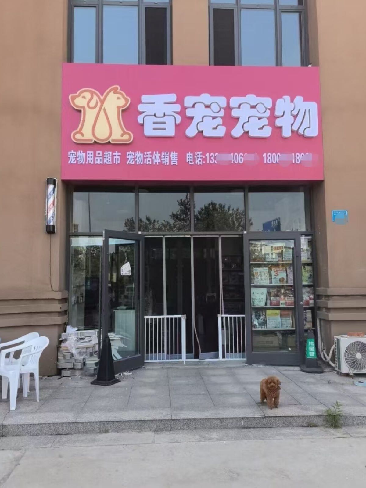 香宠宠物托运
