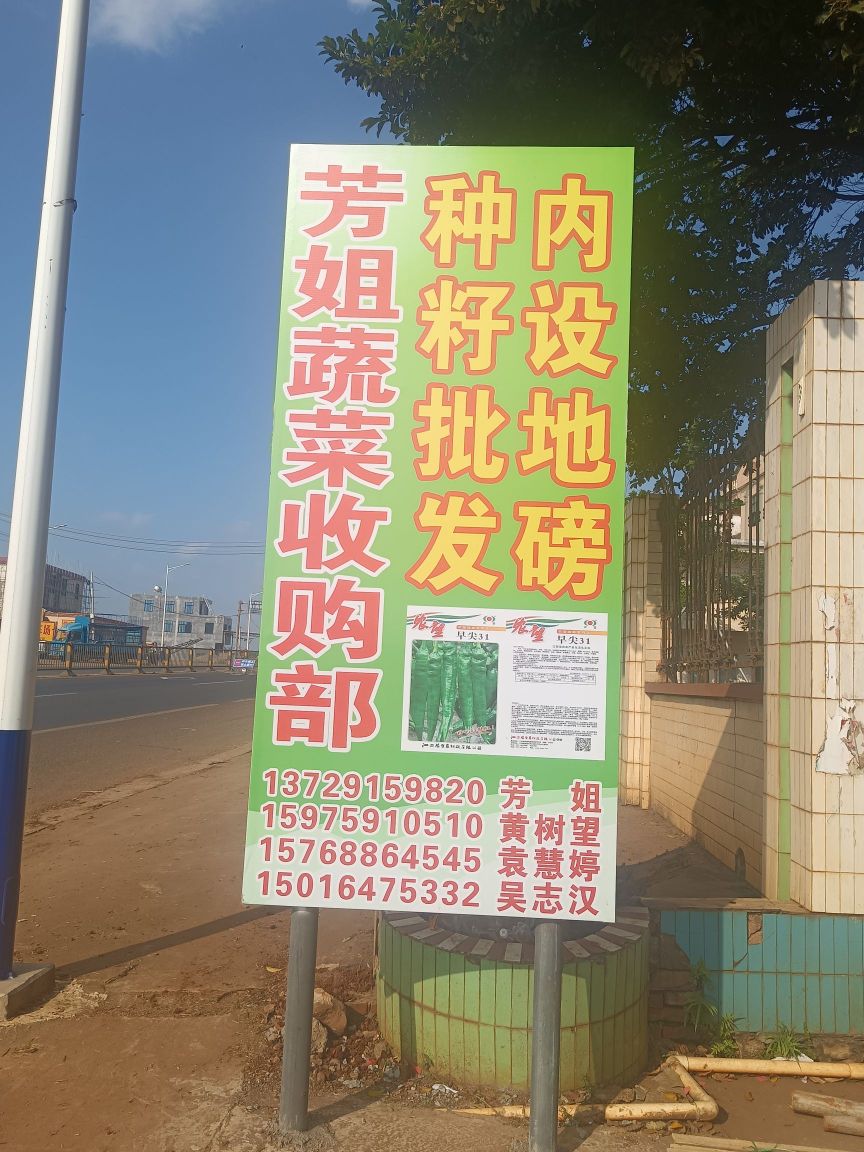 芳姐蔬菜收购部(种籽批发内设地磅)