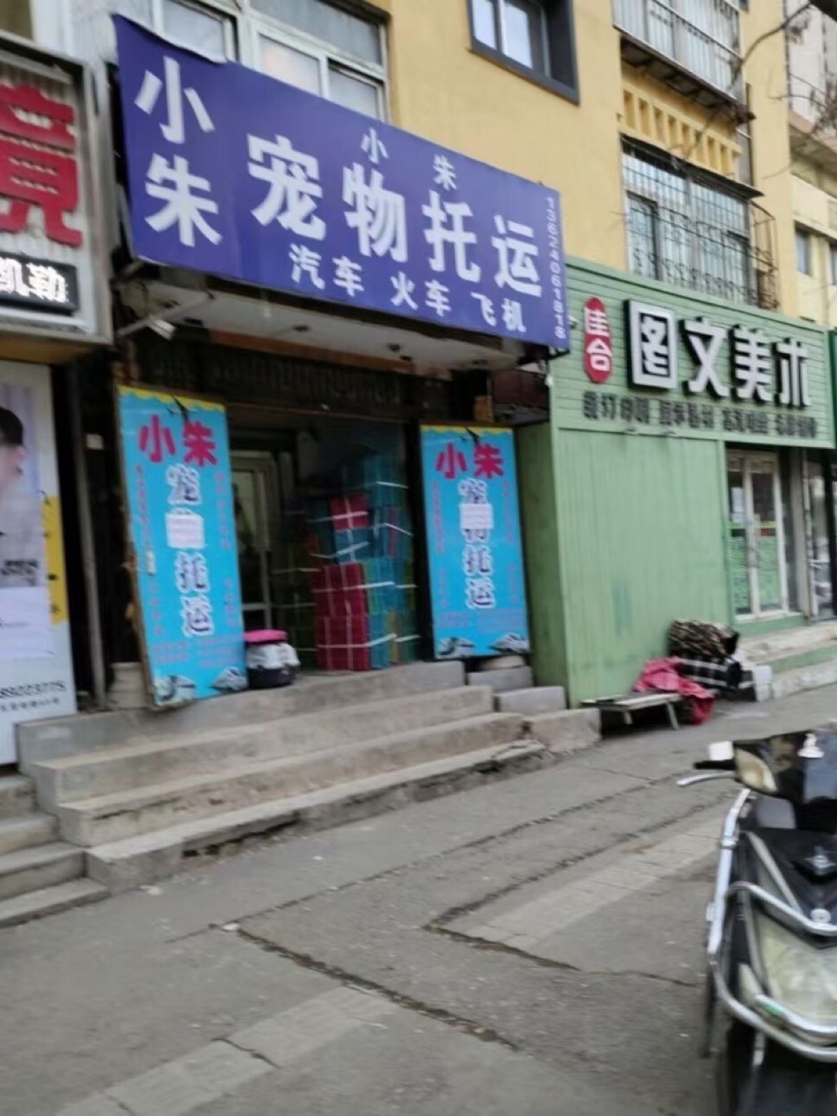 小朱宠物托运