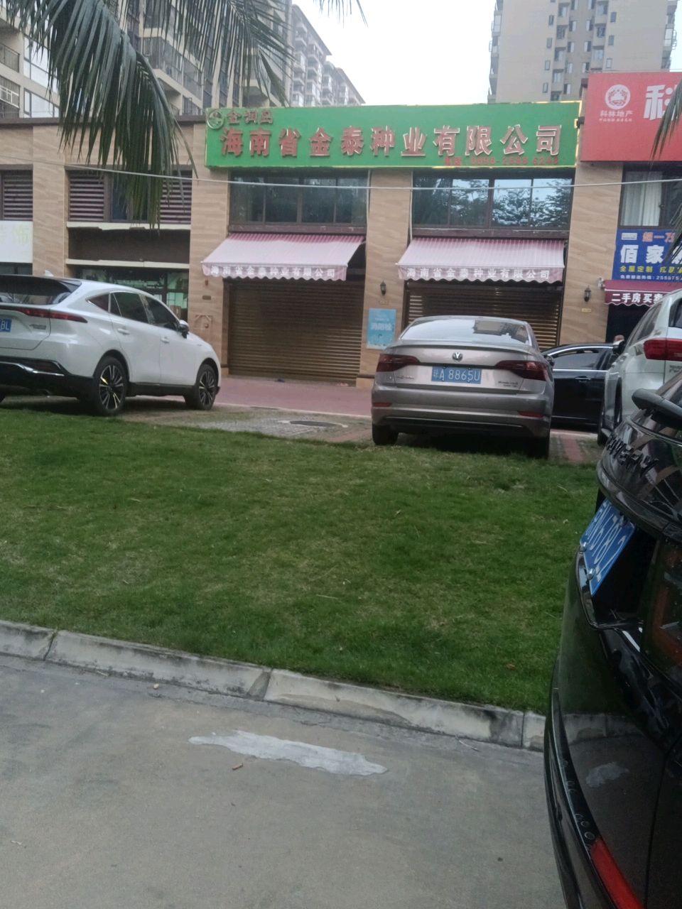 海南省金泰种业有限公司
