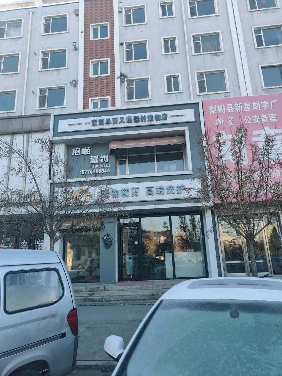 招猫逗狗宠物店