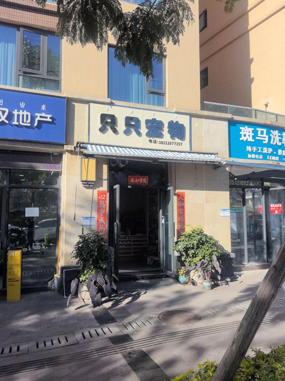 只只宠物(金色夏威夷1期店)