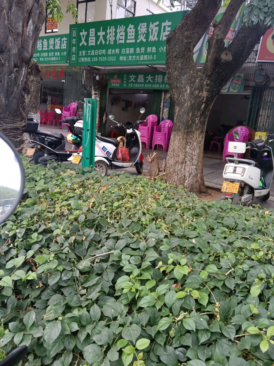 文昌大排档鱼煲饭店