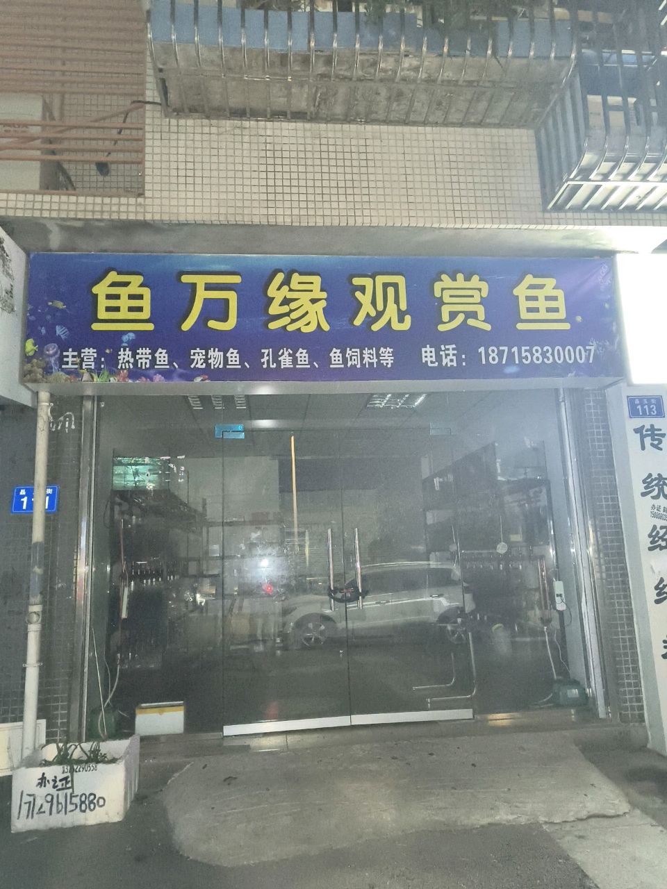 鱼万缘观赏鱼