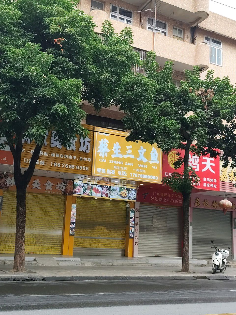 蔡生三文鱼(市雕店)