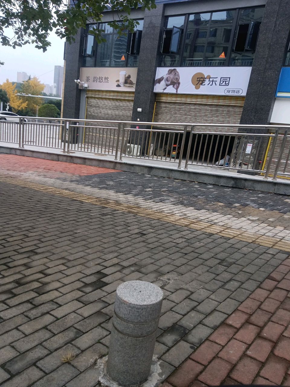 宠乐园宠物店