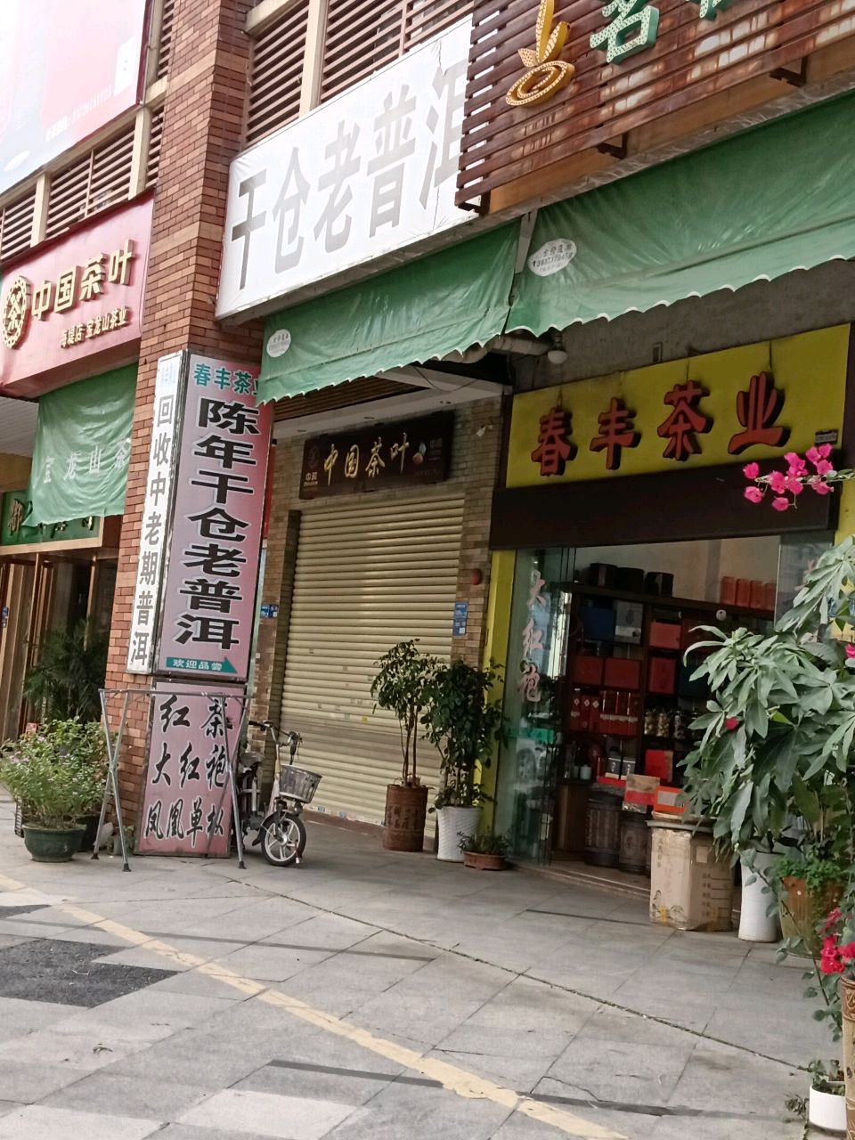 万江总站茶叶批发
