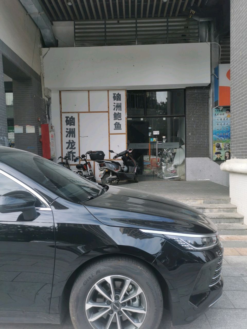 洲鲍鱼
