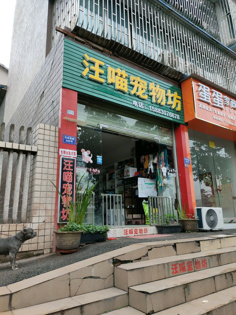 蛋蛋家政服务