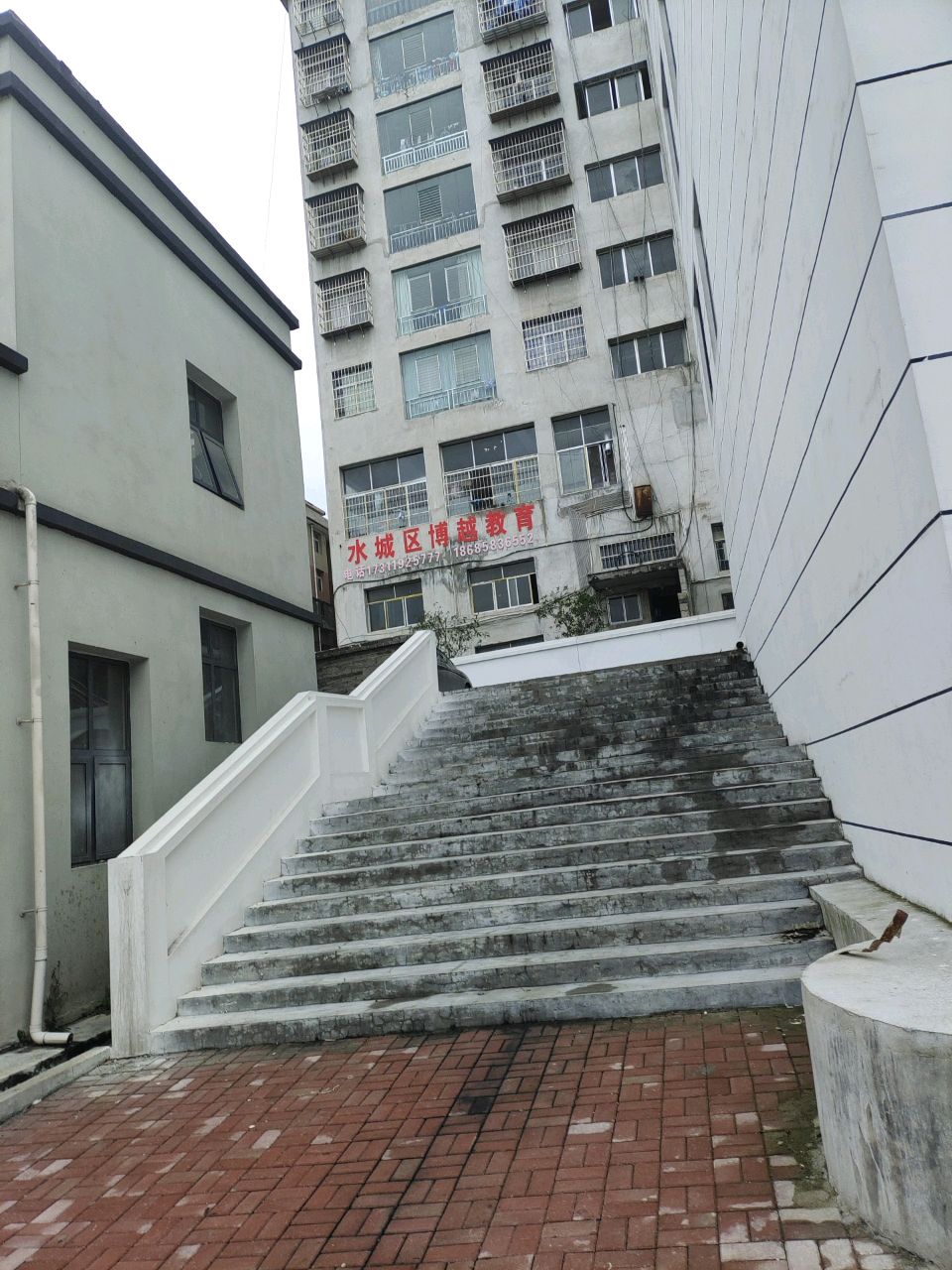 水城区博越教育