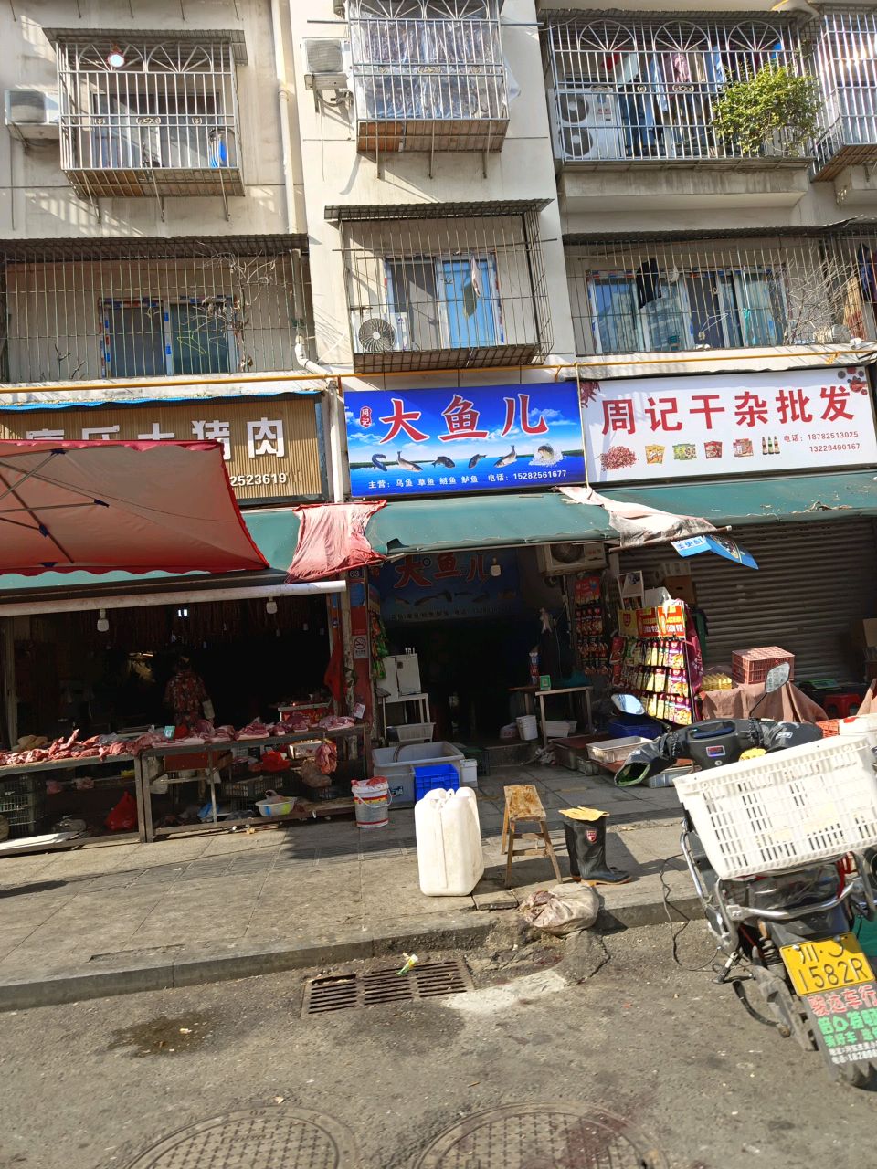 周记大鱼儿