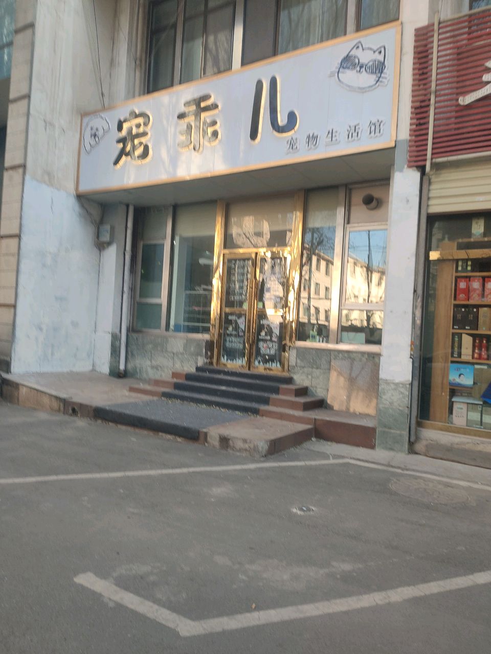 宠乖儿