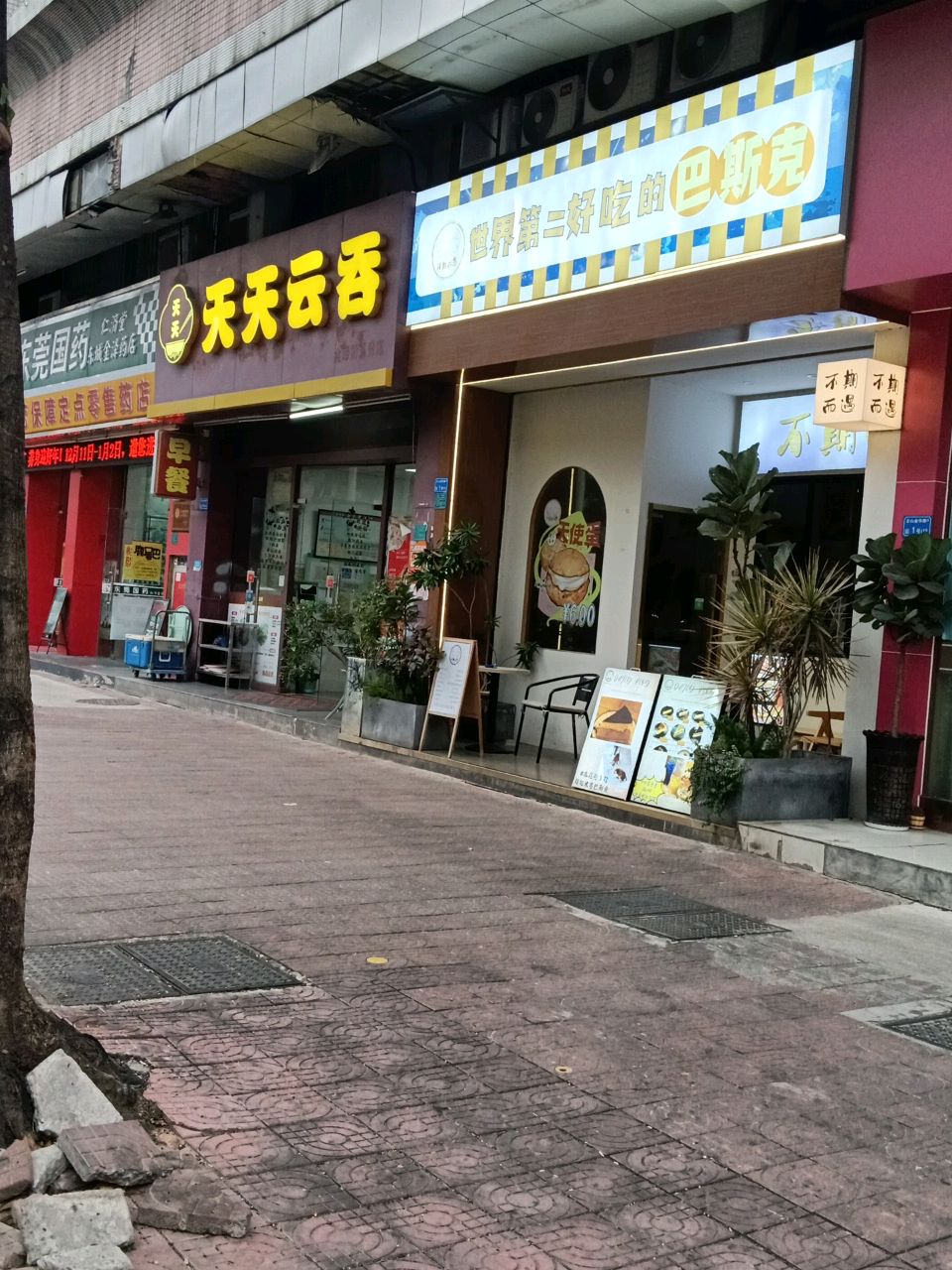 世界第二好吃的巴斯克