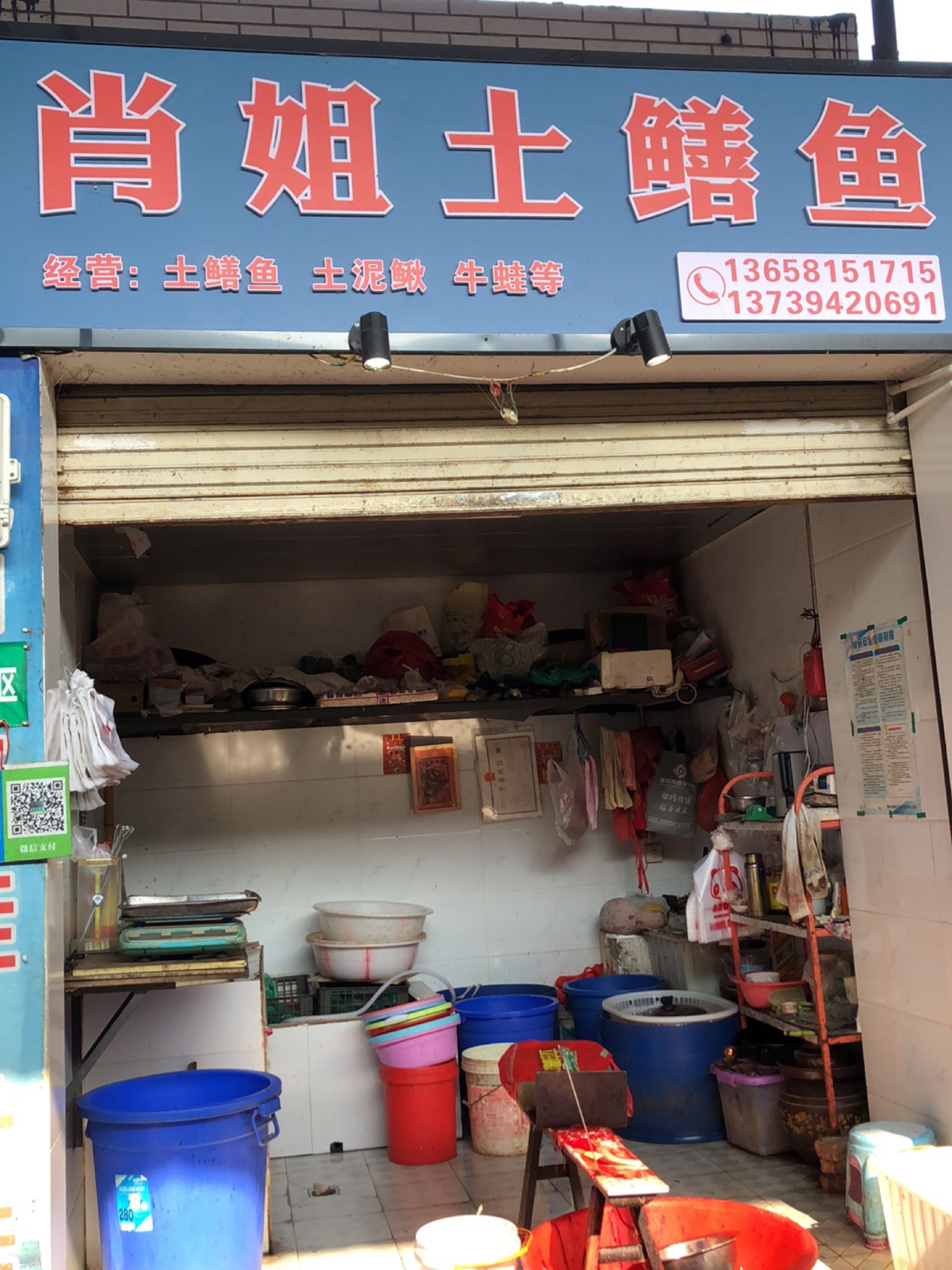 肖姐土鳝鱼(岷山路店)
