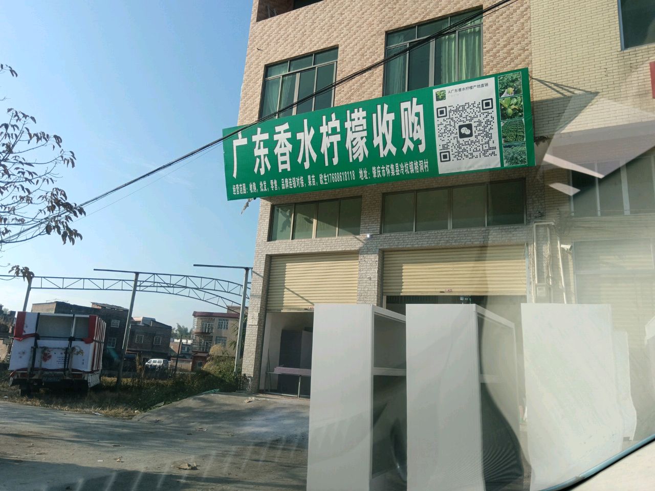 广东香水柠檬收购