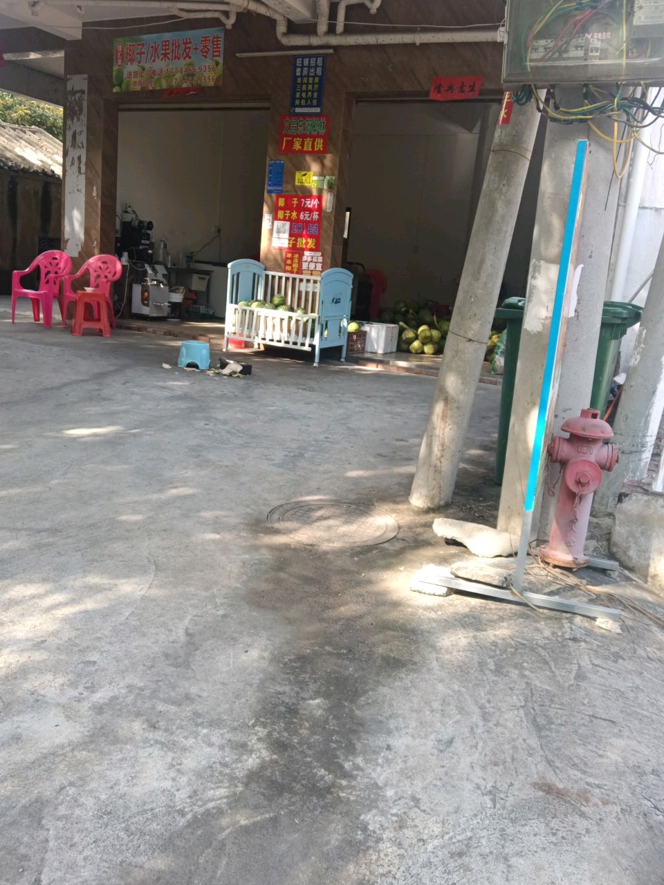 水果椰子