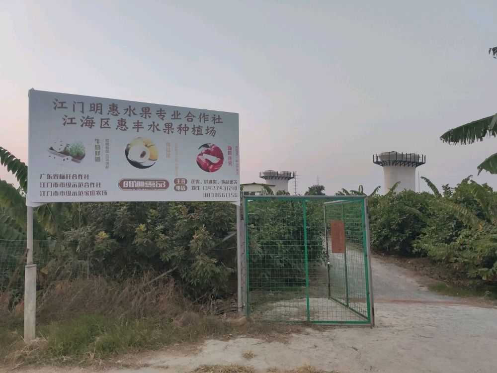 江门明惠水果专业合作社