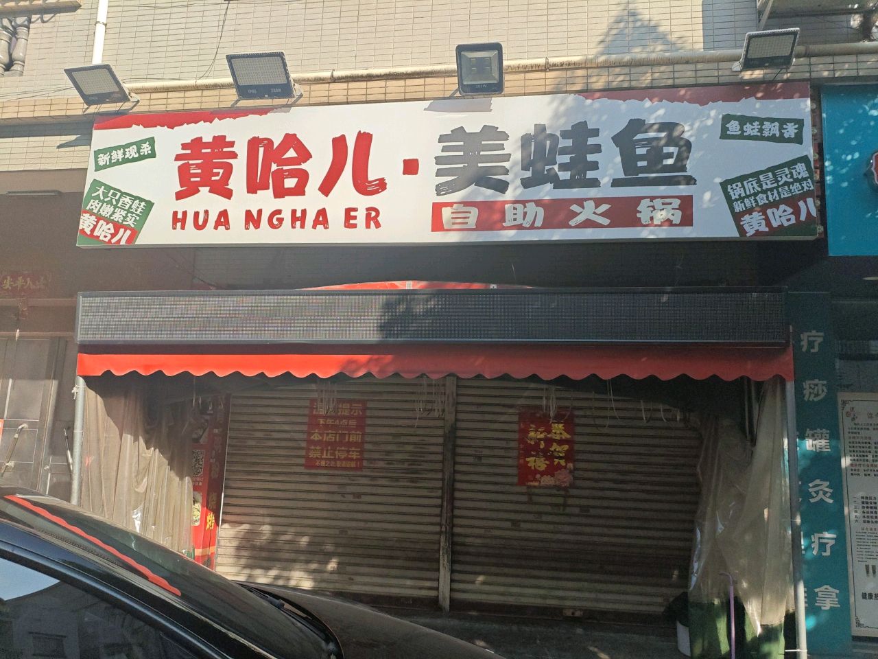 黄哈儿·美蛙鱼