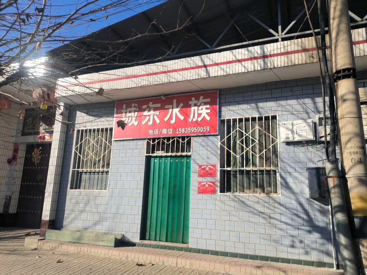 城东水族
