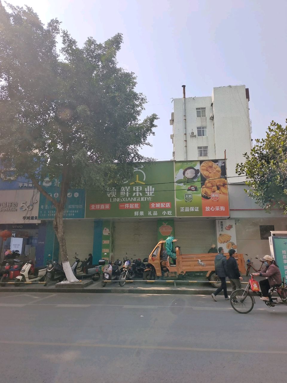 领鲜果业(同正大道店)