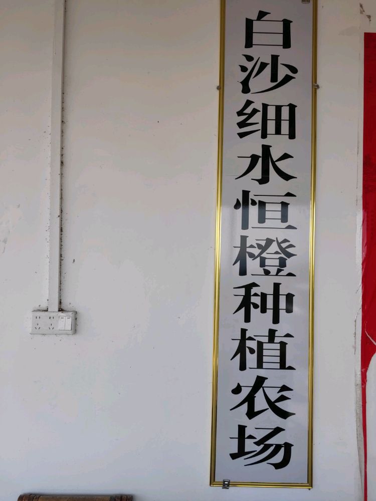 白沙细水恒橙种植农场