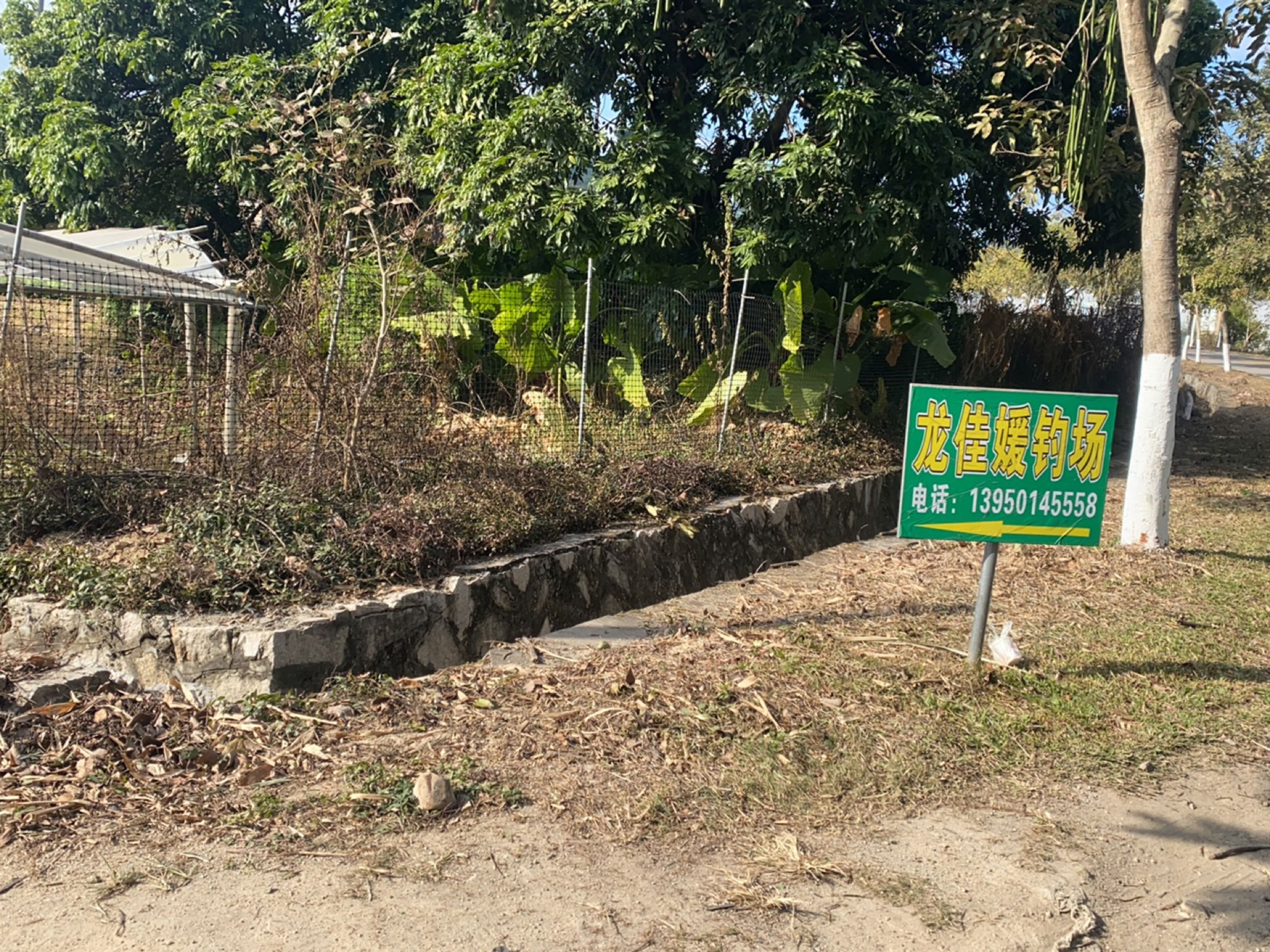 同安龙佳媛钓场