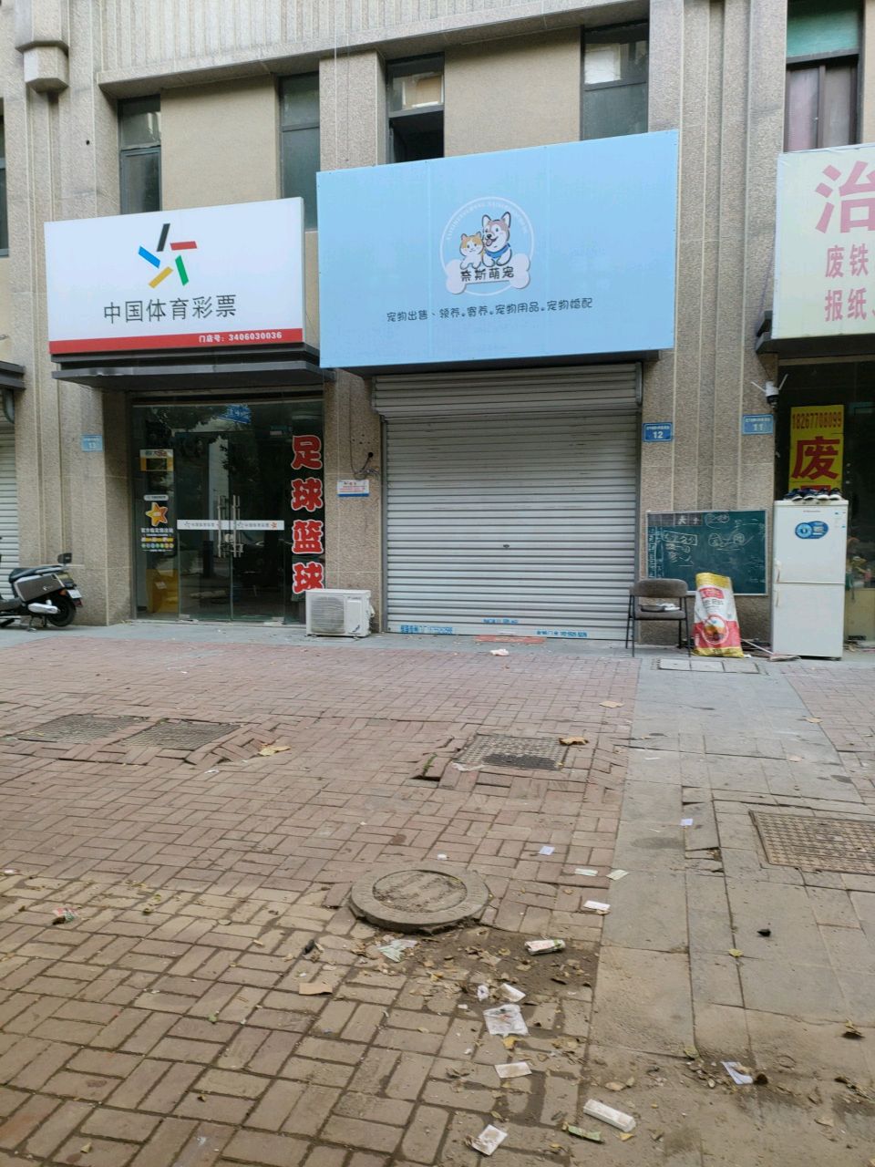 奈斯萌宠
