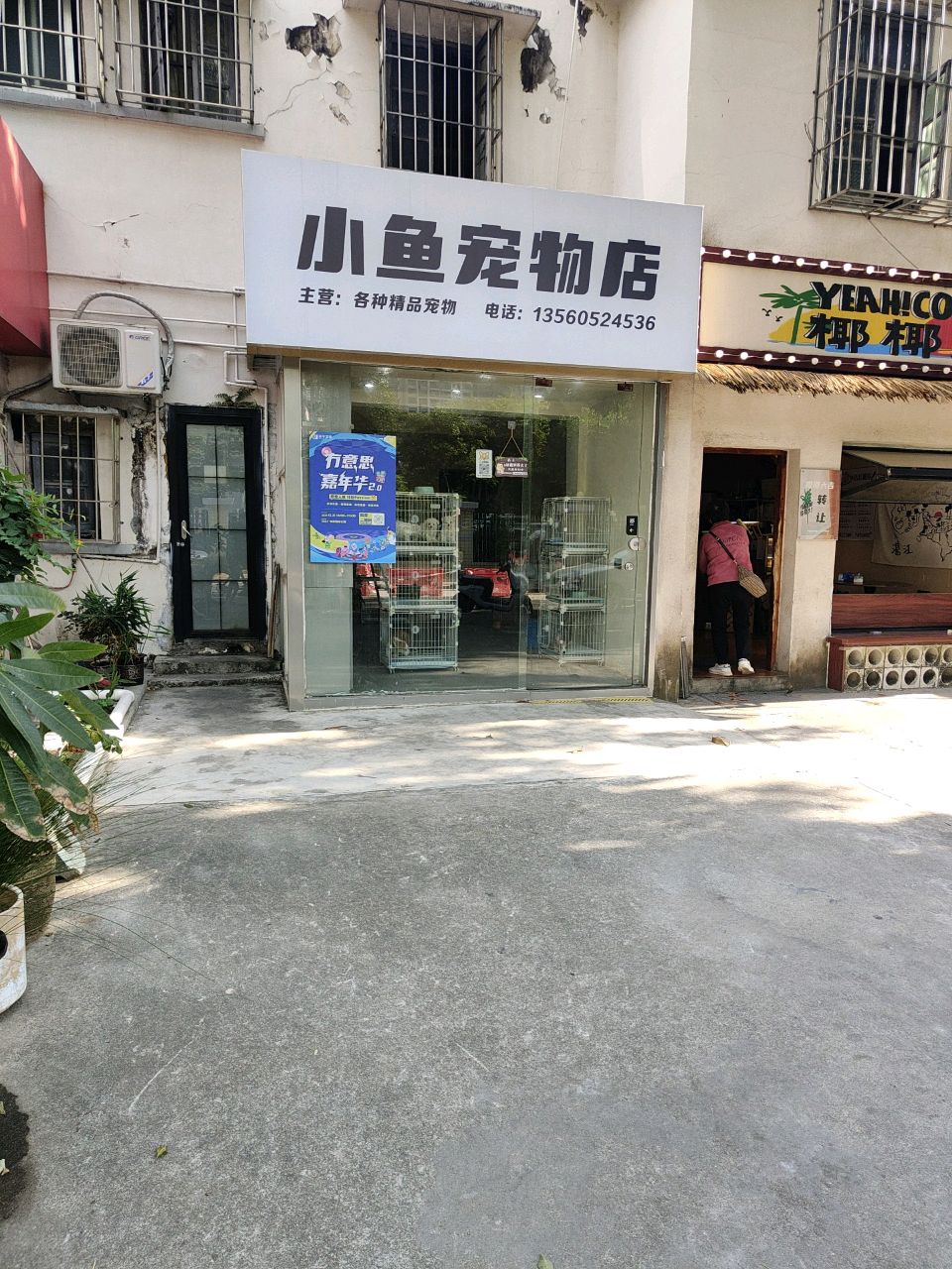 小鱼宠物店