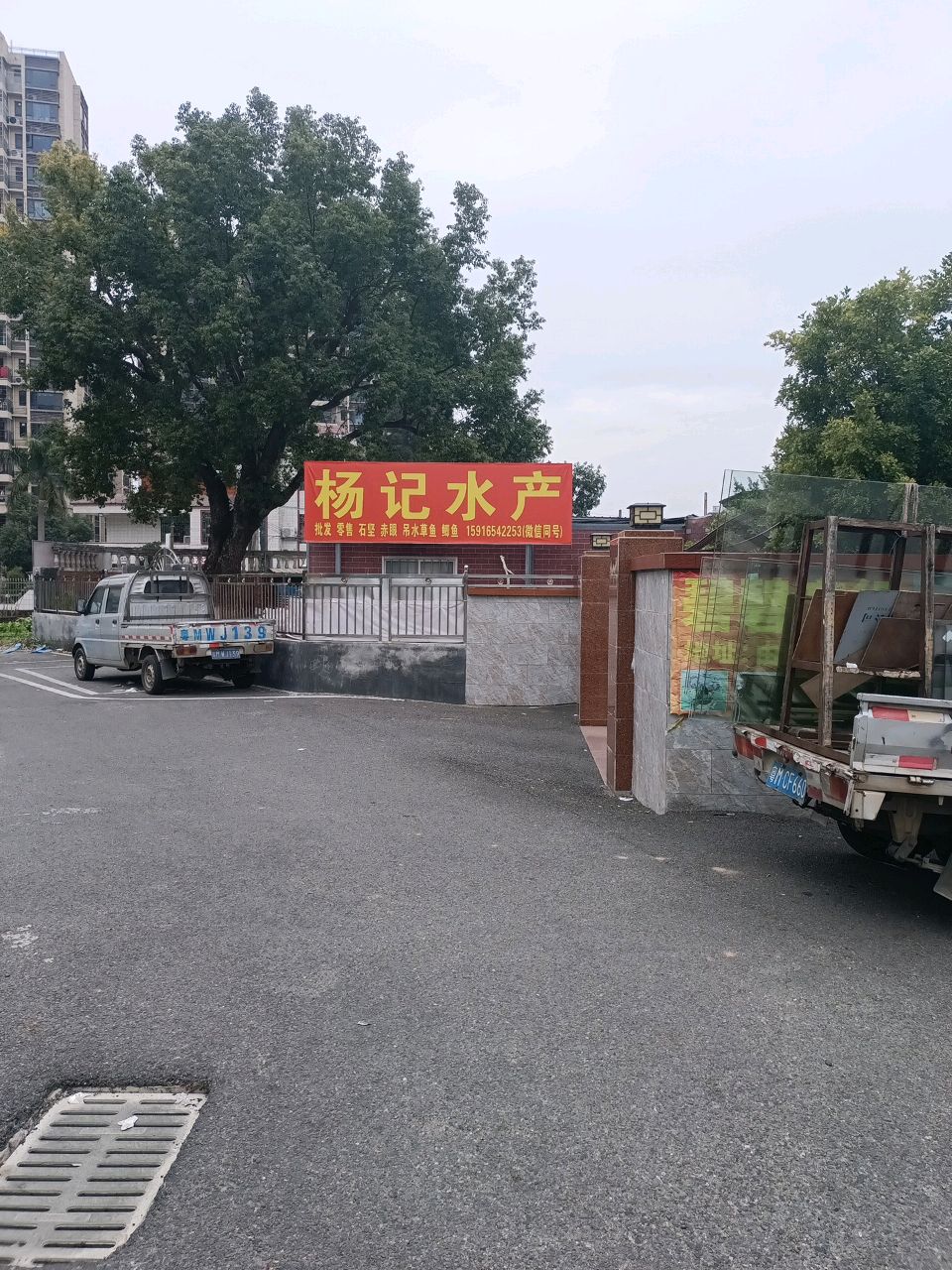杨记水产
