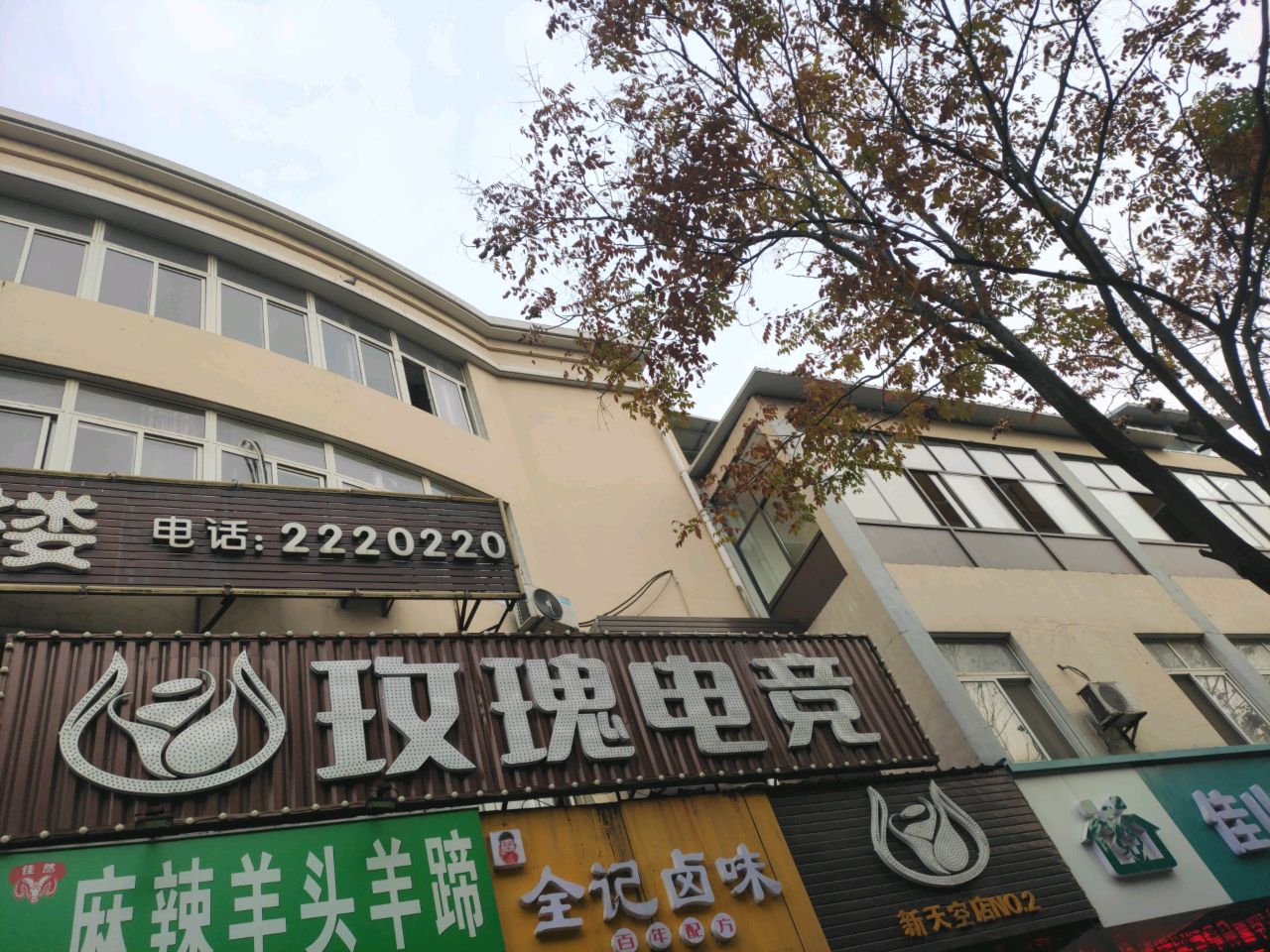 玫瑰电竞