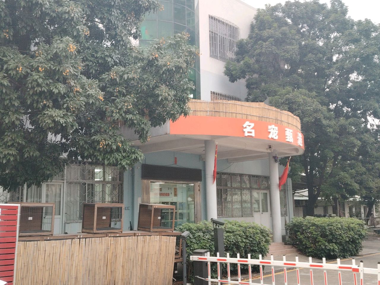名宠甄选