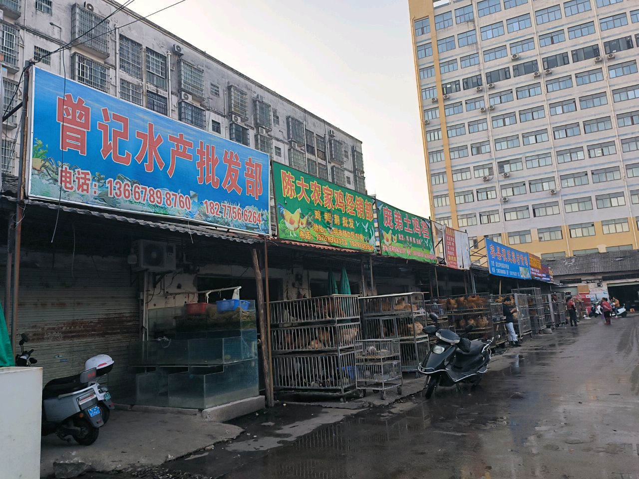 曾记水产批发部