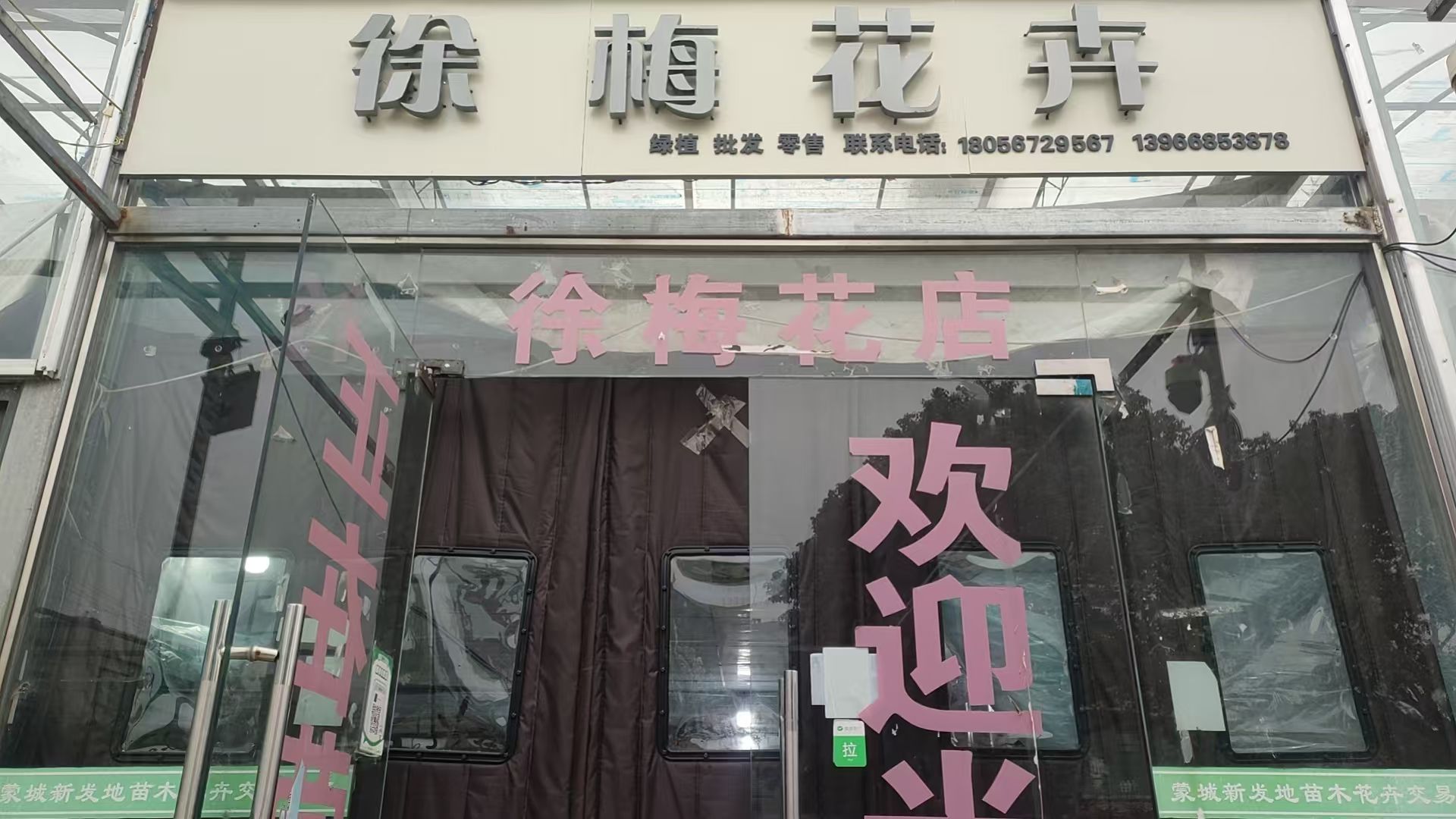 徐梅花卉