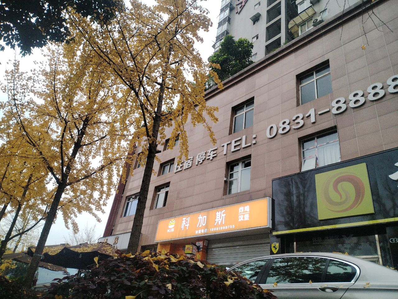 科加斯·炸鸡汉堡