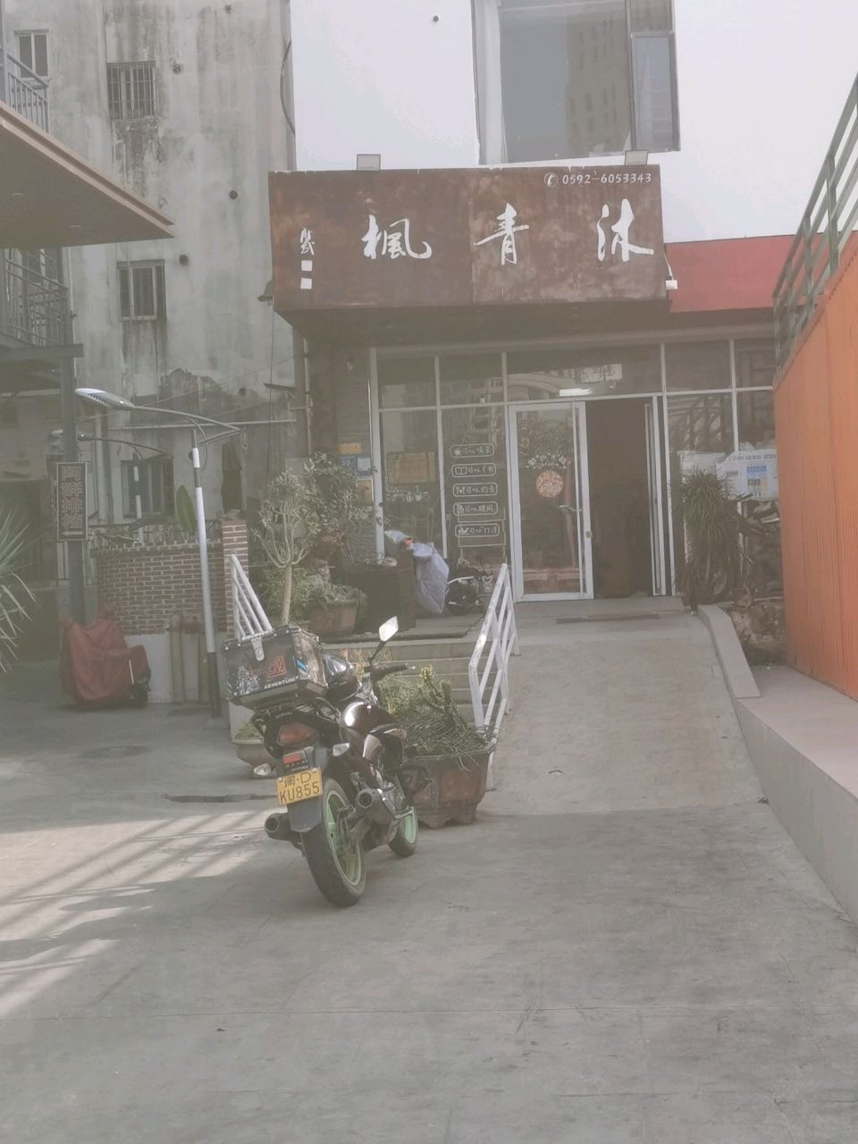 枫青沐