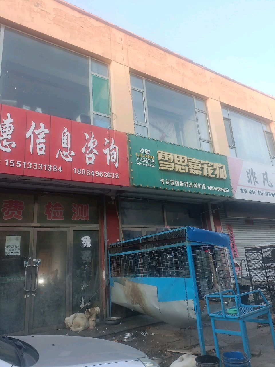 雪思嘉宠物·美容店(银建市场店)