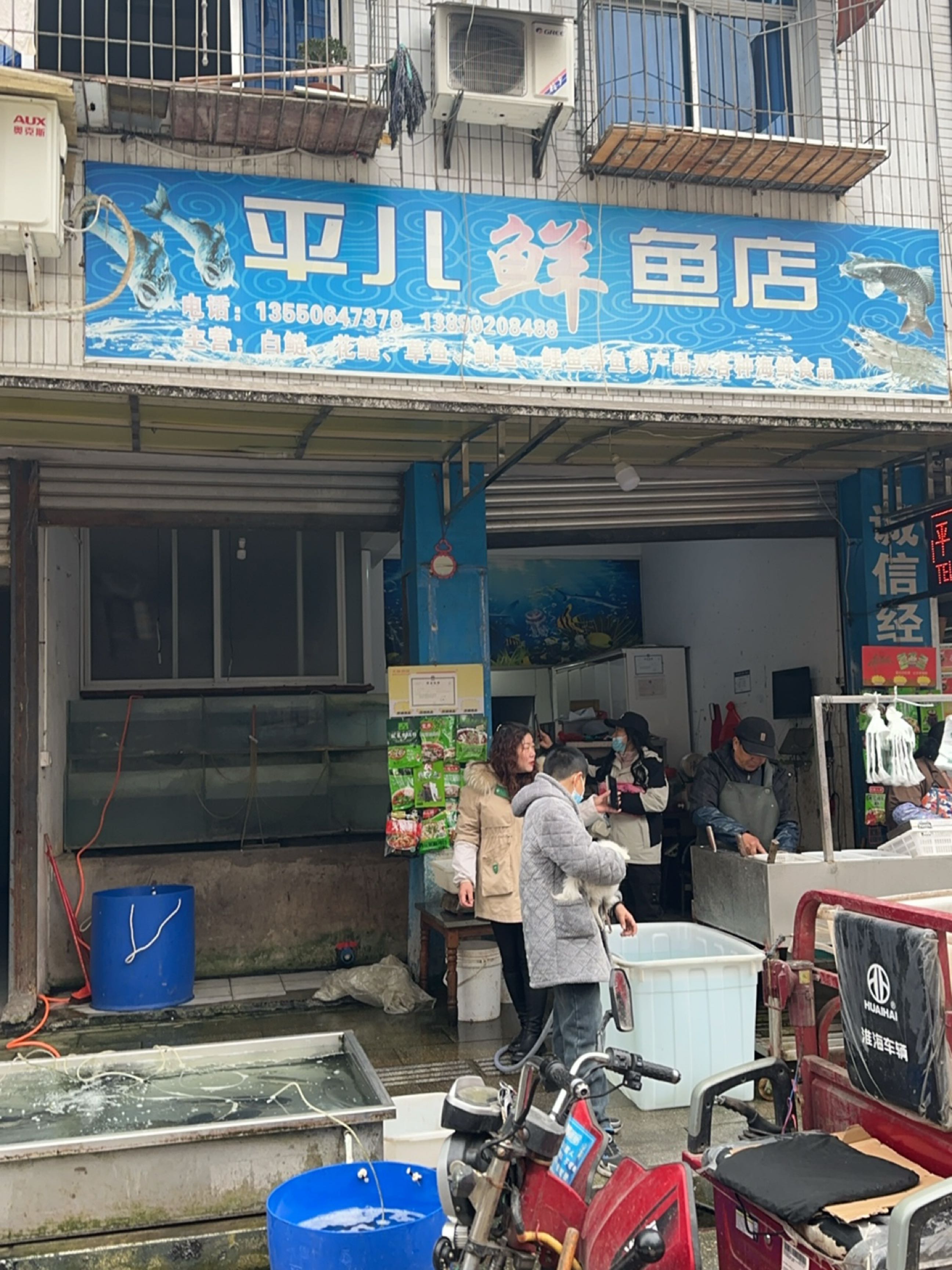 平儿鲜鱼店