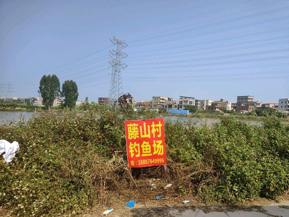 藤山村钓鱼场