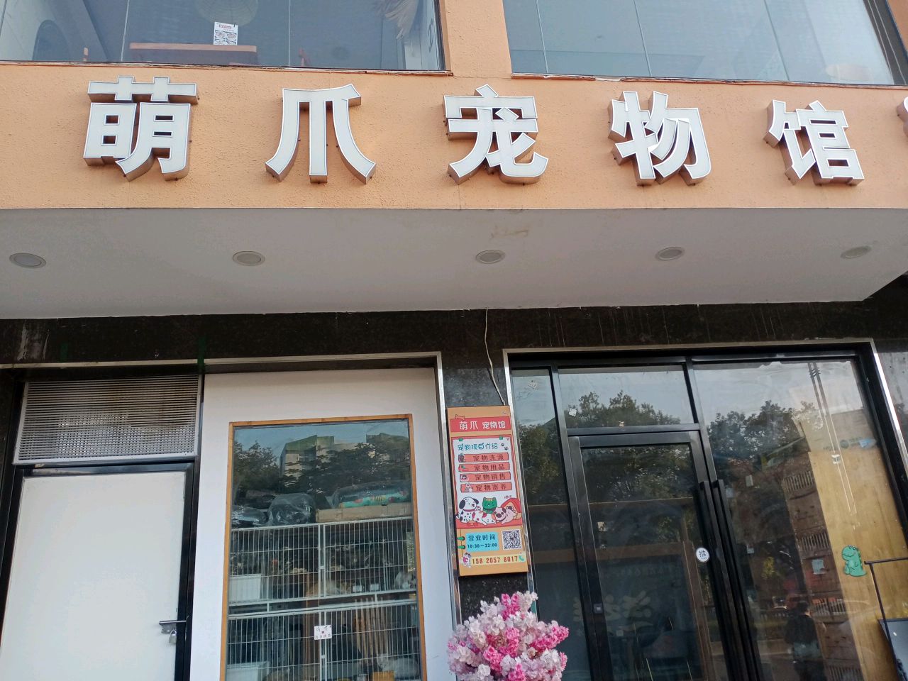 萌爪宠物馆