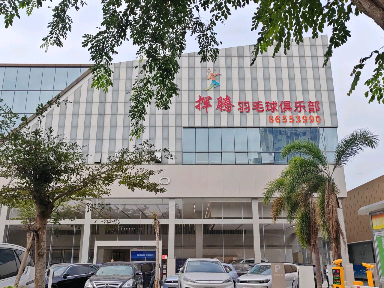 挥腾羽毛球俱乐部