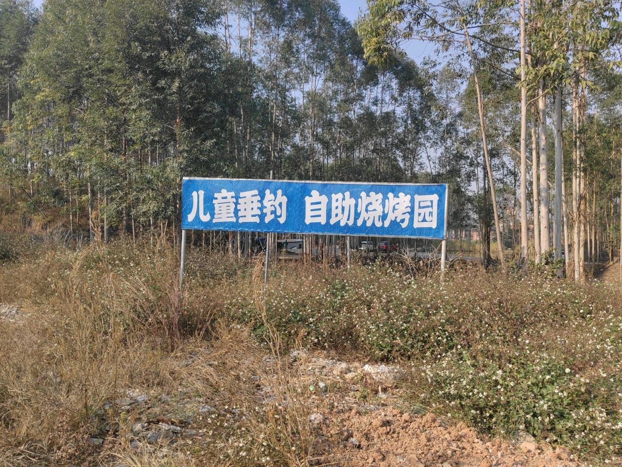 儿童垂钓园