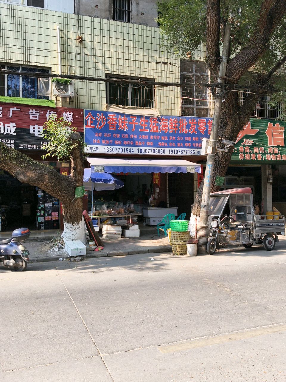 企沙香妹子生猛海鲜批发零售